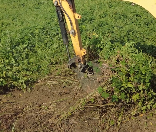 小身軀，大能量：小型挖掘機——現代除草革命的無名英雄